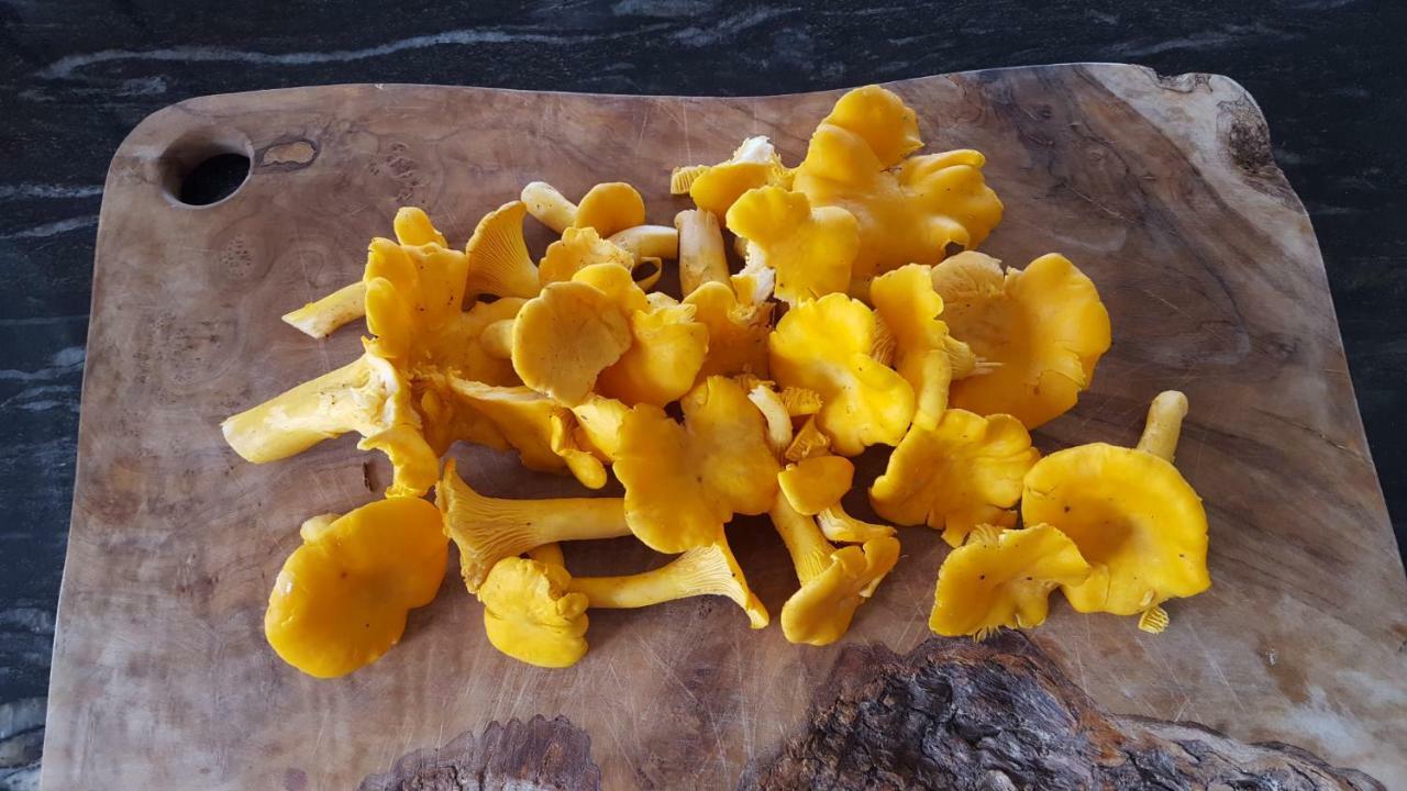 Wester Blackpark Farm 인버네스 외부 사진